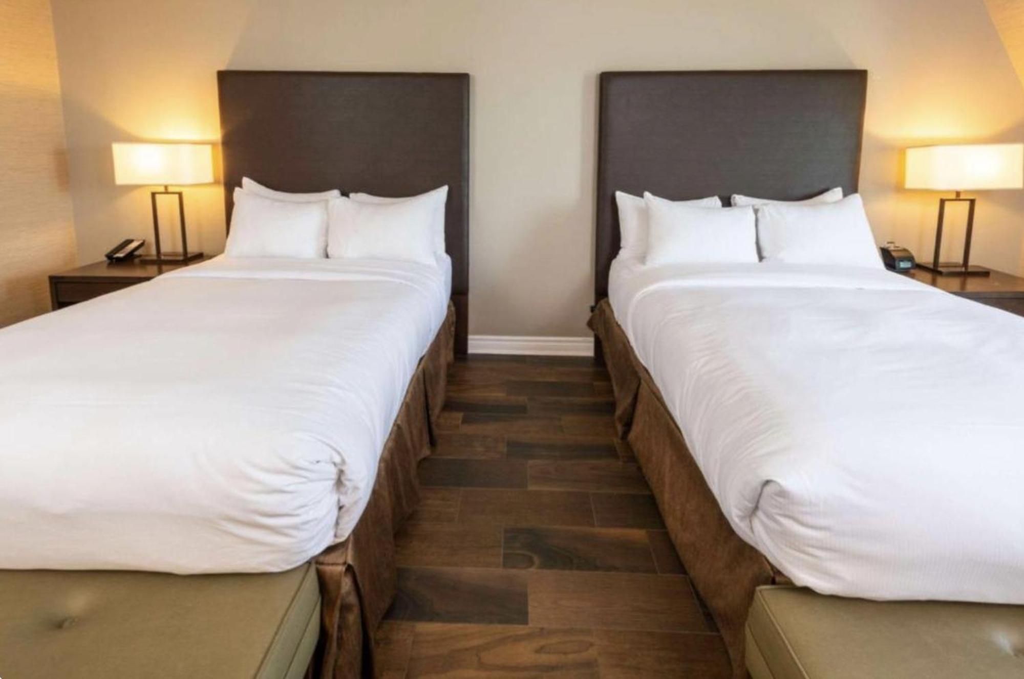 Double Room Two Double Beds Non-Smoking